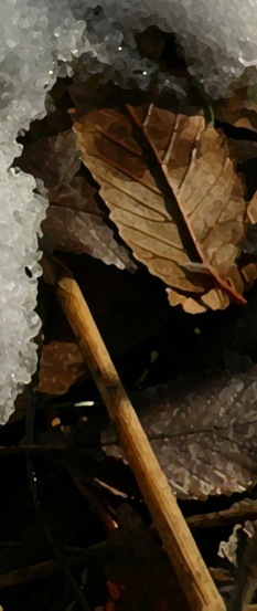 shapeimage_3-2