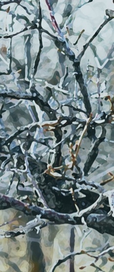 shapeimage_4